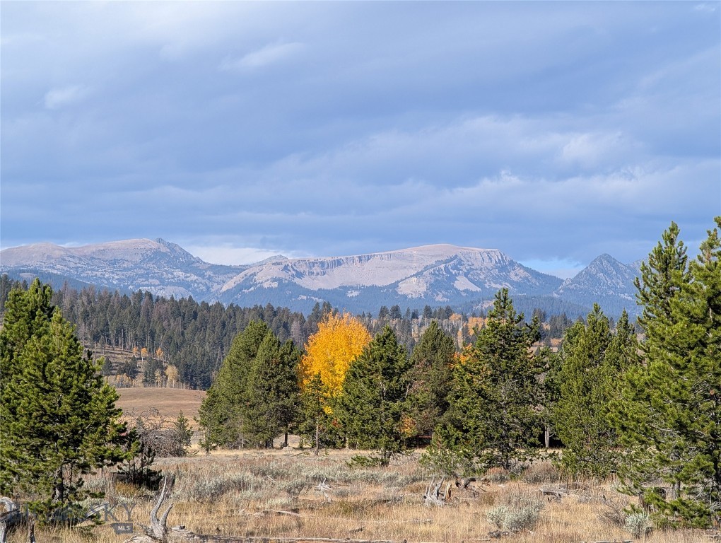 NHN Valentine Lane, West Yellowstone