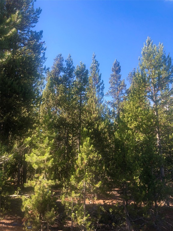 524 Gallatin Avenue, West Yellowstone