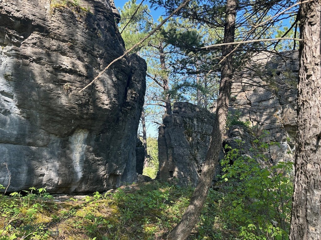 NHN Lot 1 Highway 89 N, Monarch