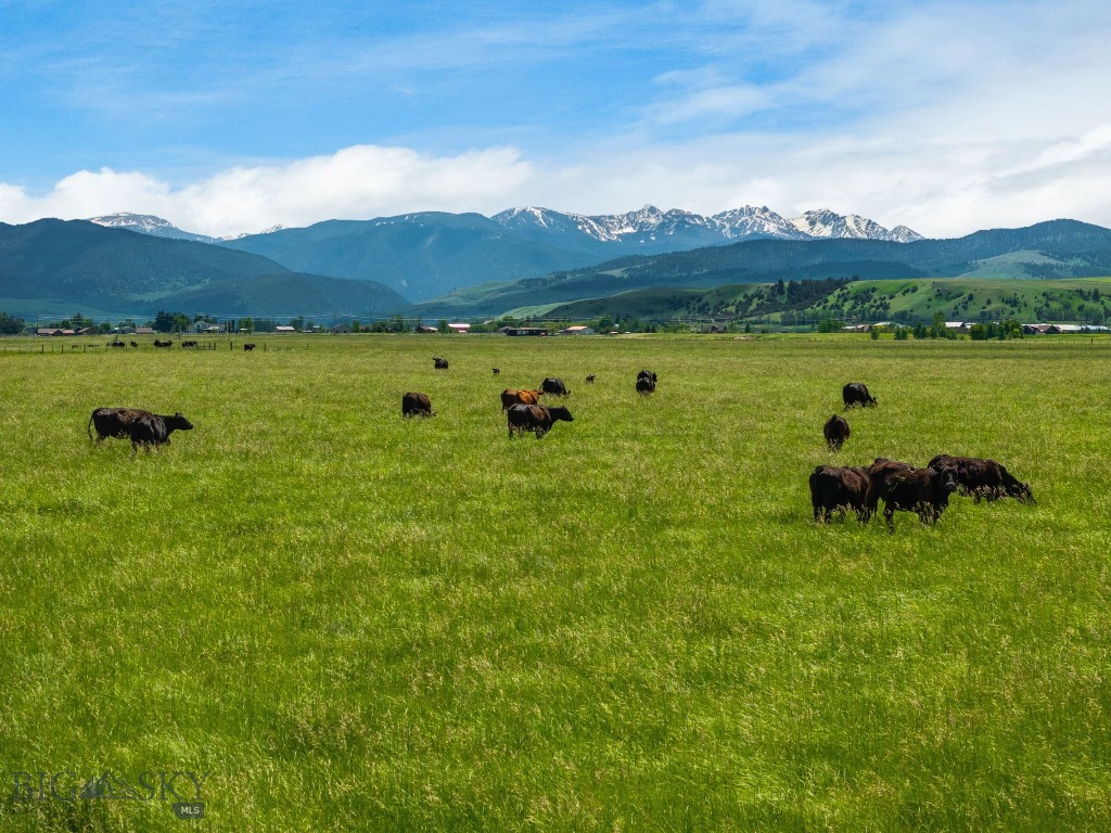 NHN Cottontail Road, Bozeman