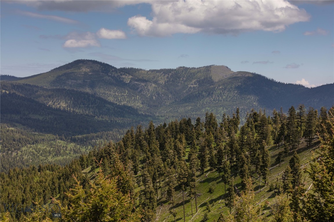 4 Tract Garnet Range, Drummond