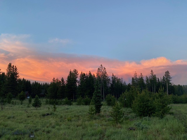 TBD Pine Marten, Anaconda, Montana