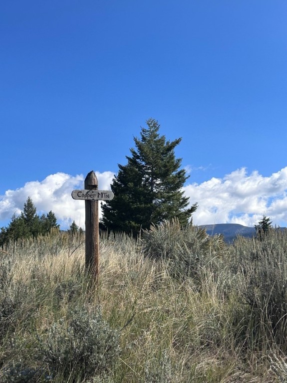 TBD Parcel 6 Bivens Creek Ridge Road, Sheridan, Montana