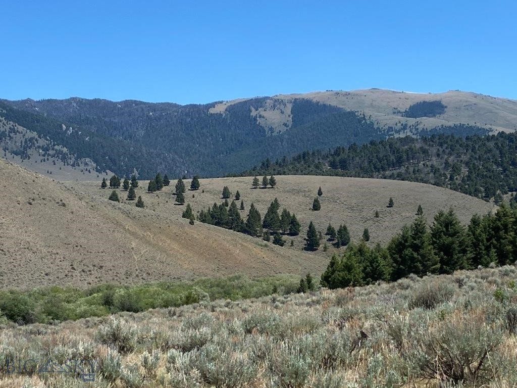 3966 Camp Creek Road, Butte