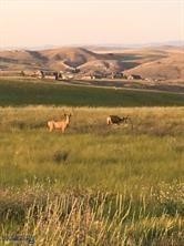 TBD Mackenzie Mountain (Lot64) Way, Three Forks