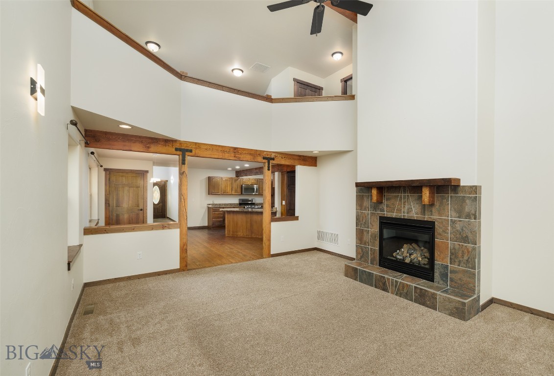 20 Prairie Grass B, Bozeman