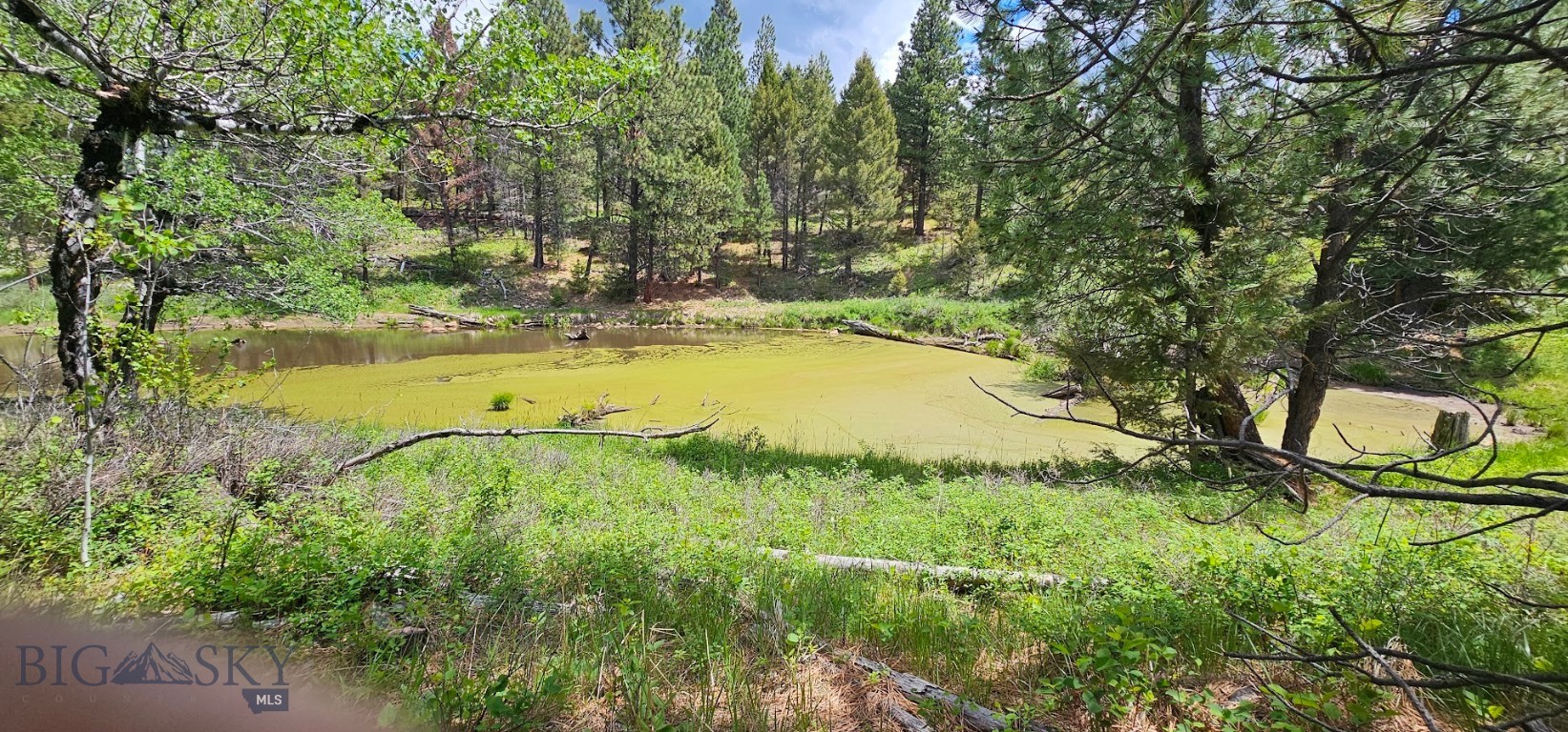 12 Tract, Hall Creek, Helmville