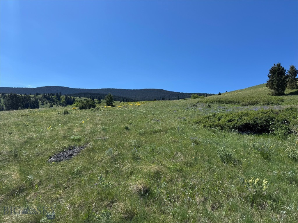 TBD Rendezvous Trail, Livingston