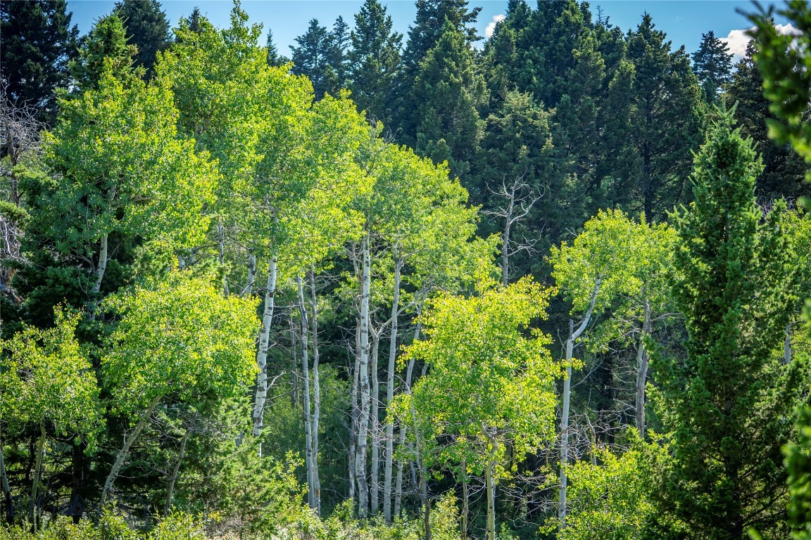 TBD Livingston Peak Road, Livingston, Montana