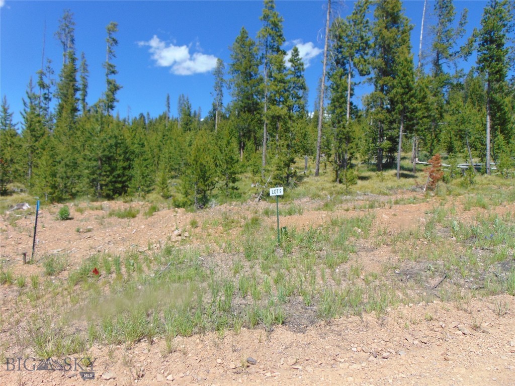 Nhn Covellite Lane Lot 9, Anaconda
