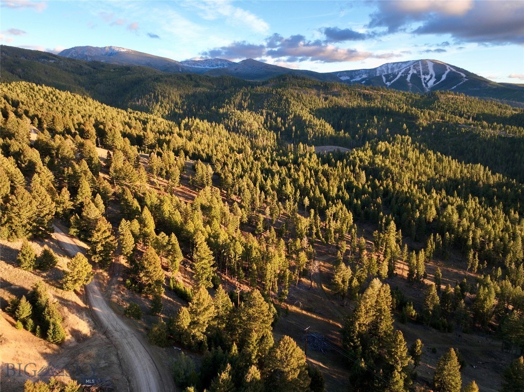 Lot 5 Scranton Lode, Philipsburg