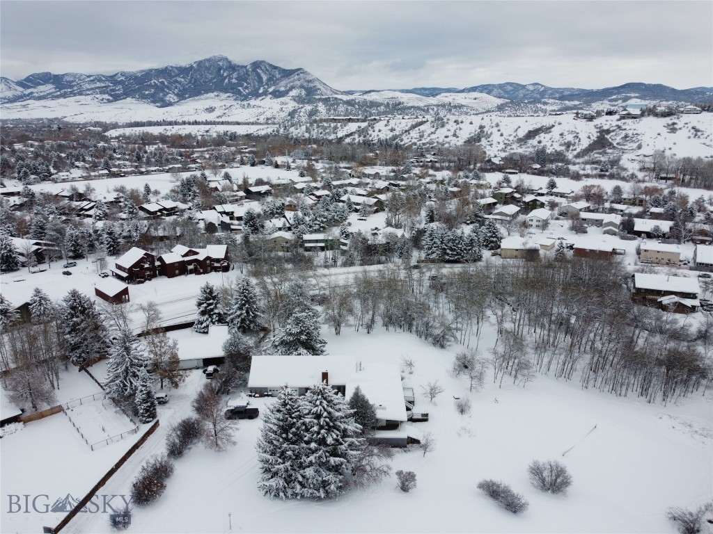 1918 Spring Creek Drive, Bozeman