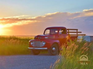 Dave's Red '49 Ford F3 Pickup