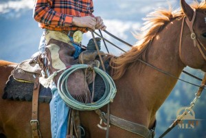 Bozeman Montana Ranch Cowboy Photo