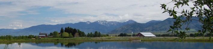 Bozeman Montana Homestead Declaration Photo