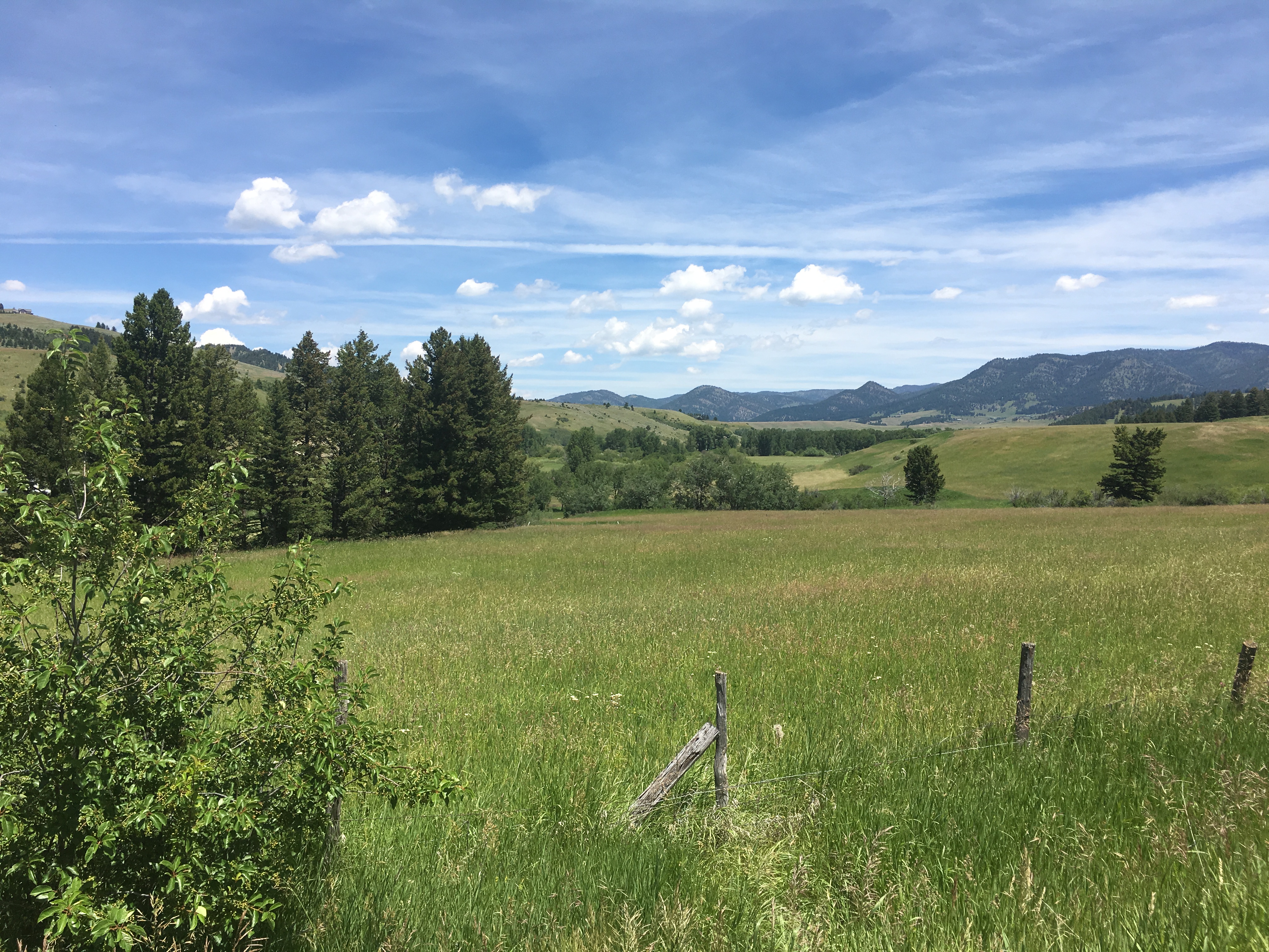 Land For Sale In Montana By Owner