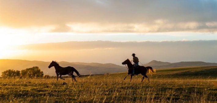 Taunya Fagan Montana Land For Sale