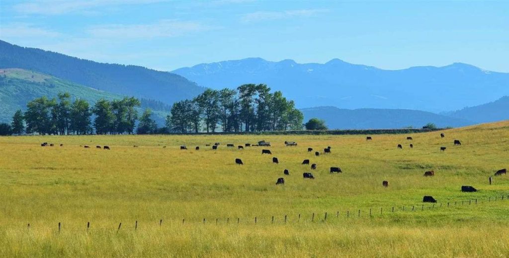 Buy Sell Montana Ranches Exchanges, Conservation, Taxes, Legal