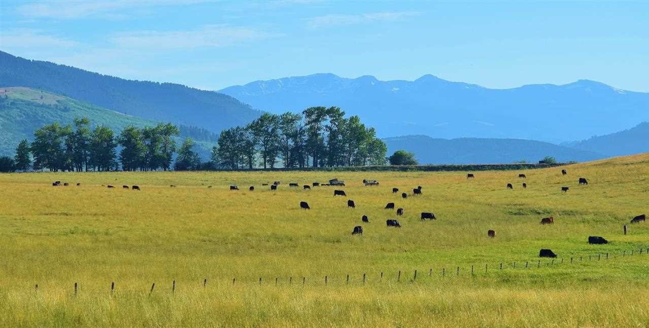 Buying or Selling Montana Ranches