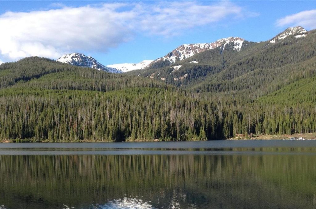 MT Residency Requirements Drivers, Hunters, Fishers, Students