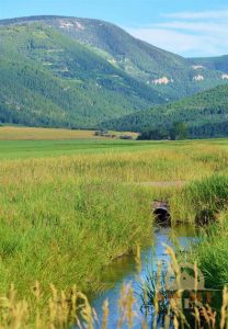 Irrigation Ditch Montana Ranching History Photo Irrigation Ditch Montana Ranching History