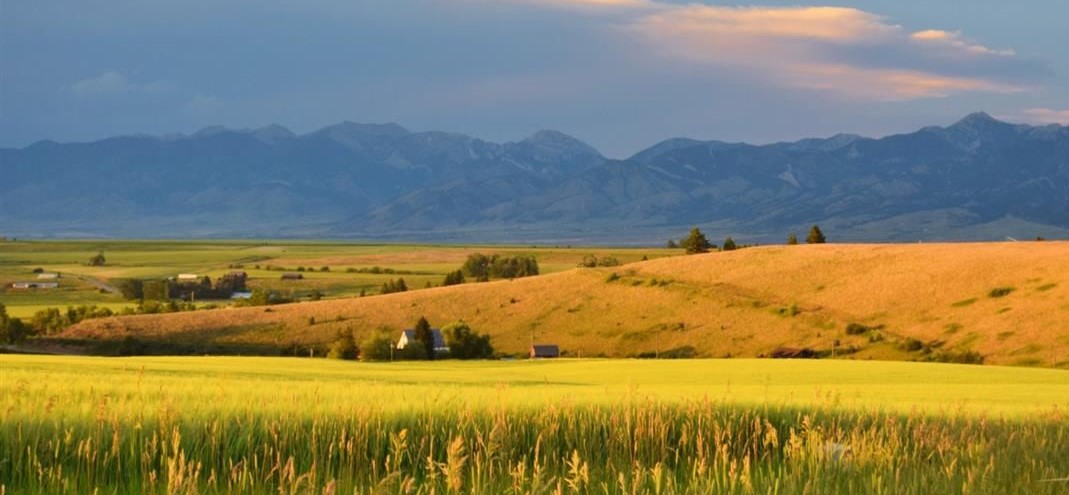 Montana Ranching History