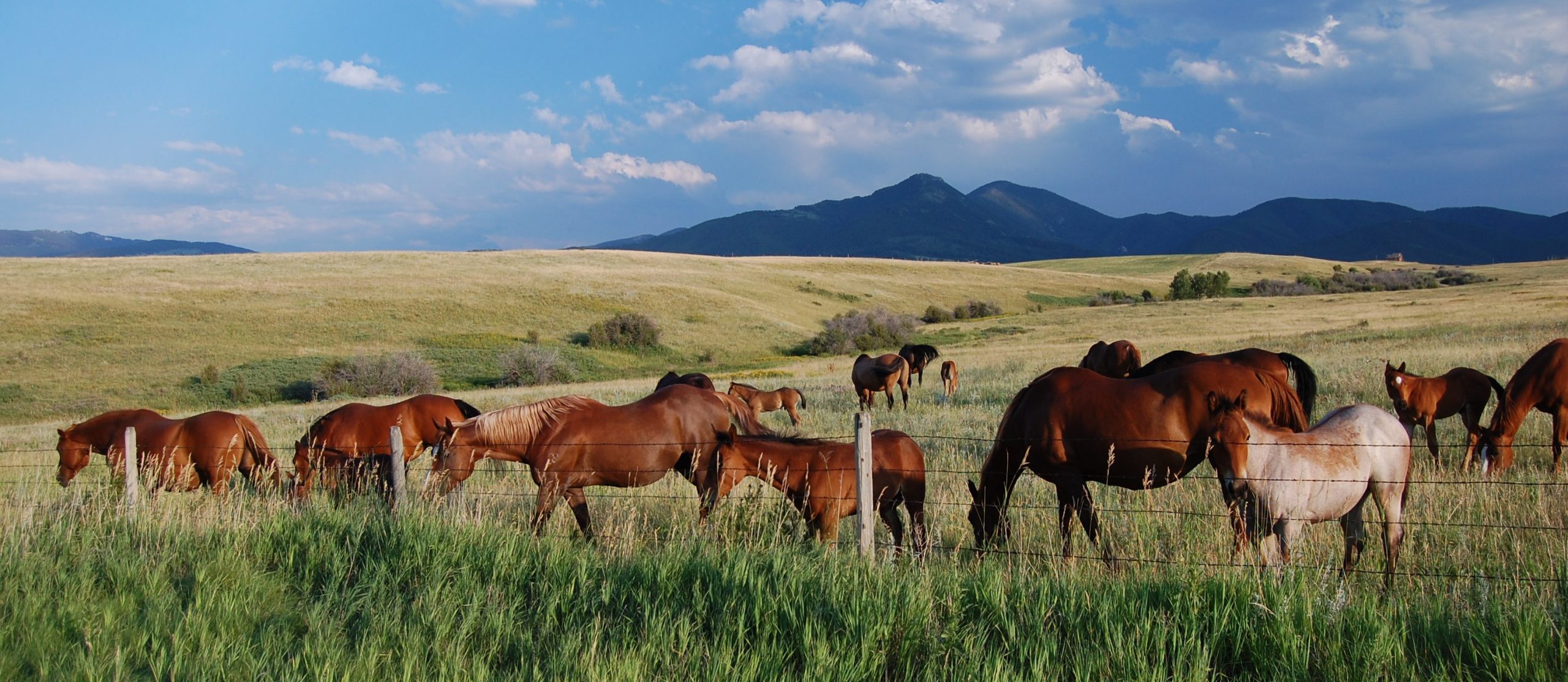 Montana Horse Property Listings Below $100,000
