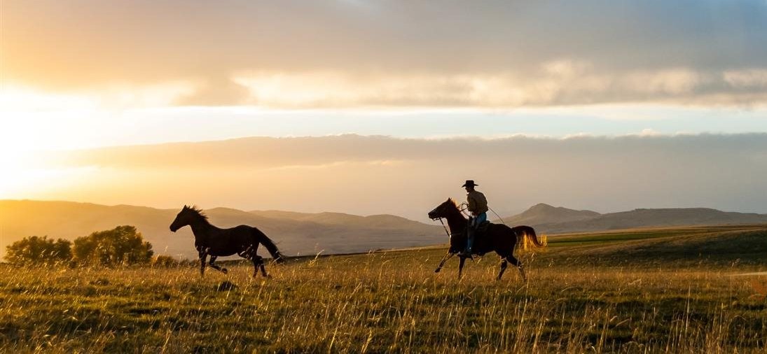 Montana Horse Properties