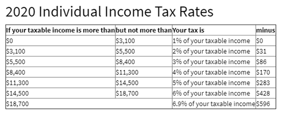 Montana Tax Return 2023