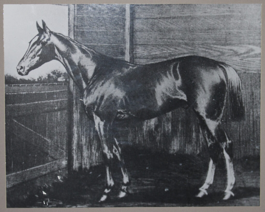 Horse, Spokane, Kentucky Derby Winner 1889. Artist unknown. Image on display at Twin Bridges Historical Association Museum, Twin Bridges, Montana. Photo of Horse, Spokane, Kentucky Derby Winner 1889. Artist unknown. Image on display at Twin Bridges Historical Association Museum, Twin Bridges, Montana.