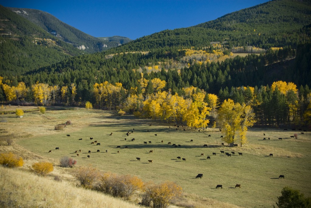 SW Montana Ranches For Sale Listings Farm, Ranchettes, Horse, Luxury